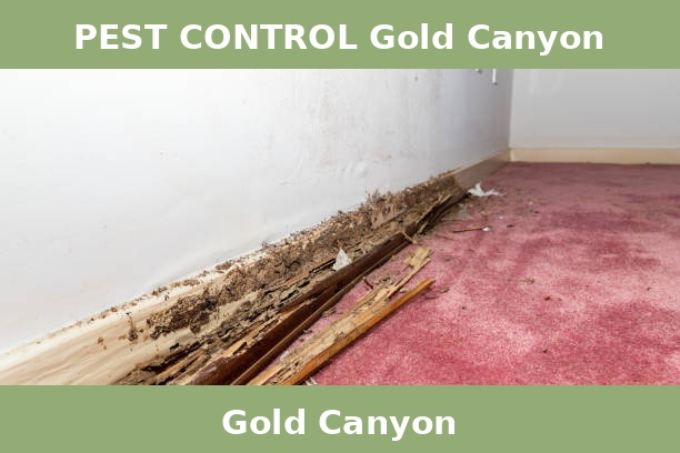 PEST CONTROL Gold Canyon